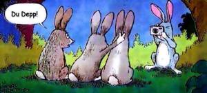 1511382_734945699877312_6392533664375192461_n